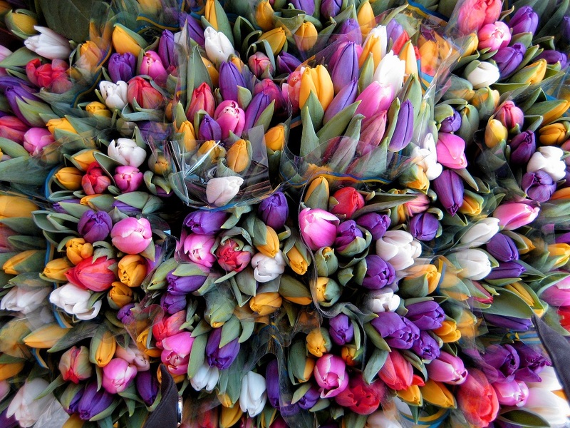Парад Цветов в Голландии