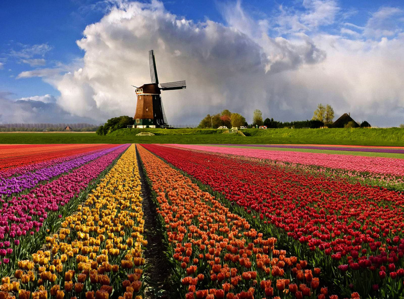 Весна в Голландии 