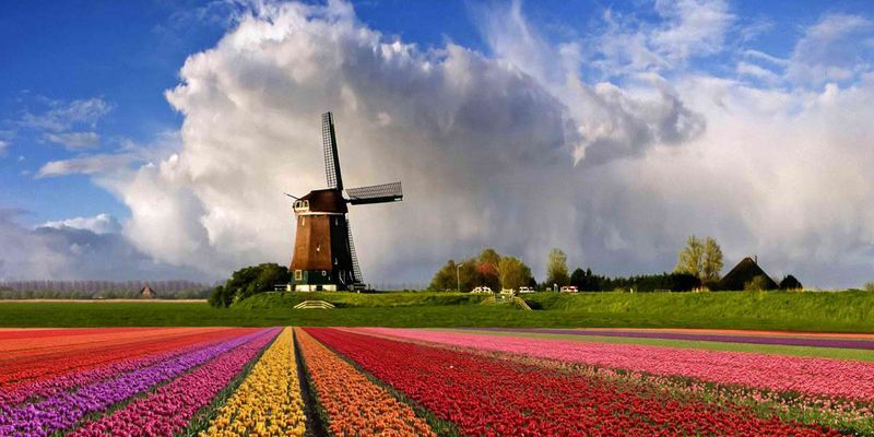 Бельгия - Голландия