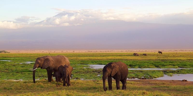 Tansaania - Zanzibar