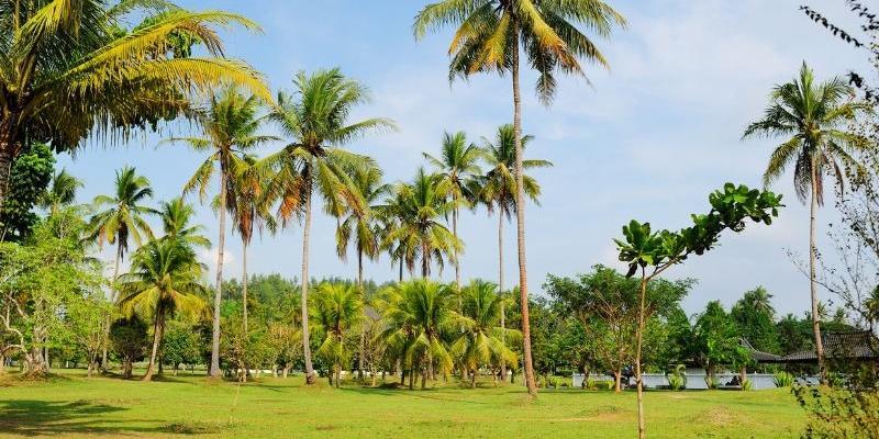 Аviatuur Indoneesiasse (saared Java ja Lombok) puhkus meres ja ekskursioonid