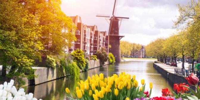Saksamaa-Belgia-Holland - lillepark "Keukenhof"