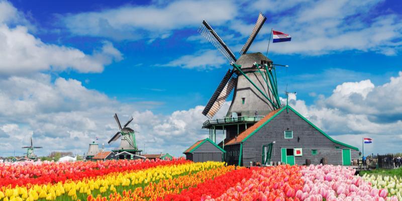Belgium - Holland - Keukenhofi lillepark (lendamine Kölnisse)