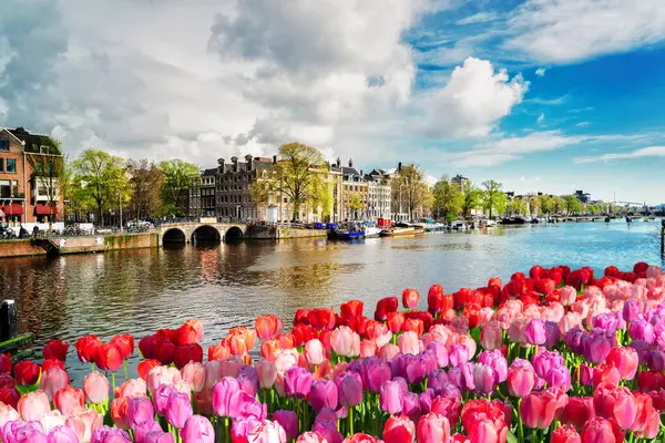 Tulbid ja kanalid — Kevad Amsterdamis