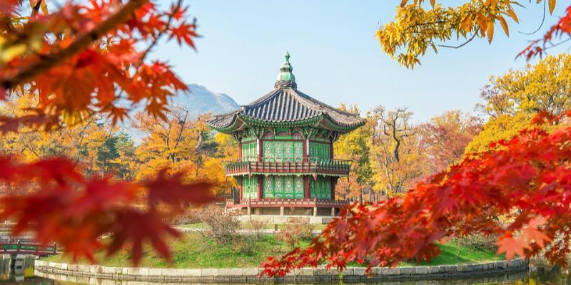 Lennureis Lõuna-Koreasse 11 PÄEVA